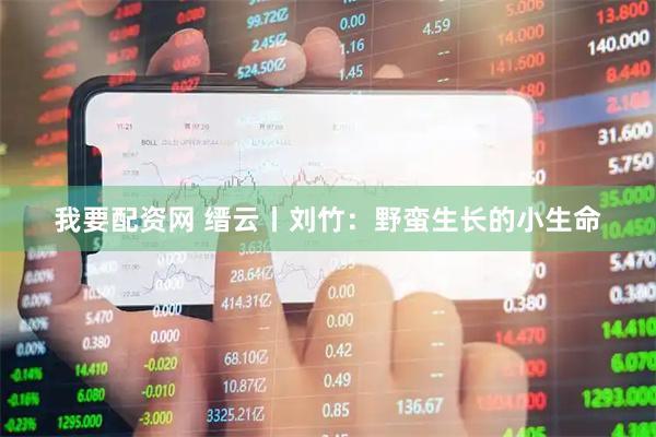 我要配资网 缙云丨刘竹：野蛮生长的小生命