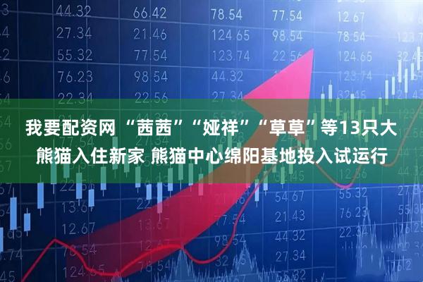 我要配资网 “茜茜”“娅祥”“草草”等13只大熊猫入住新家 熊猫中心绵阳基地投入试运行